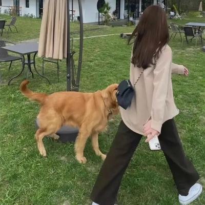 阖府统请粤语