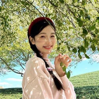 宠物粉红鹅卵石